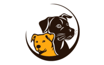 Hundezubehör Test